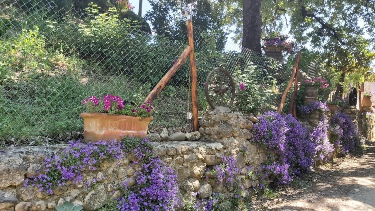 La Limonaia Country House Monteriggioni Zewnętrze zdjęcie